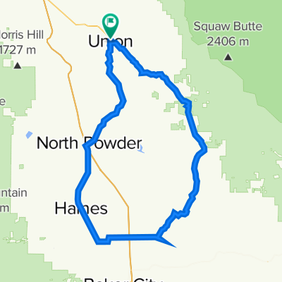 North College Street 669, Union to Oregon 203 667, Union