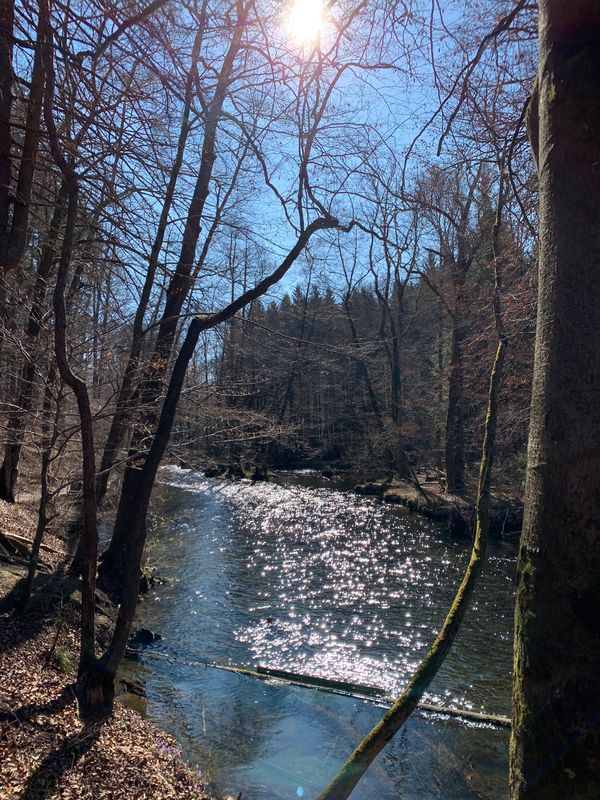 Würmtal-Krailling-Starnberg