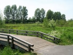Hebe Bild 7 entlang der Bikemap-Route "Brunsummer Heide Rodebach" hervor