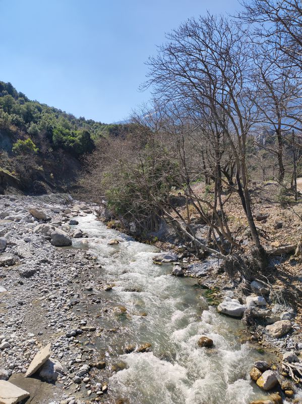 Νίκου Μπελογιάννη 12, Λαμία to Νίκου Μπελογιάννη 12, Λαμία