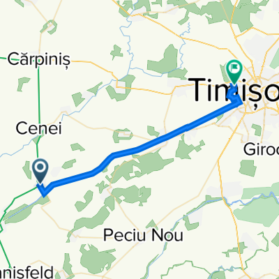 DC209, Uivar to Strada Johann Schwicker 1–43, Timișoara