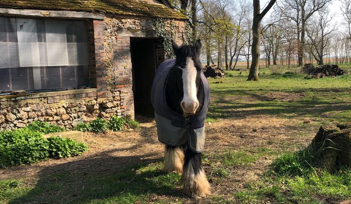 Foto 1 del percorso Bikemap "4 Ruelle des Métiers, Charonville à 1 Ruelle des Métiers, Charonville"