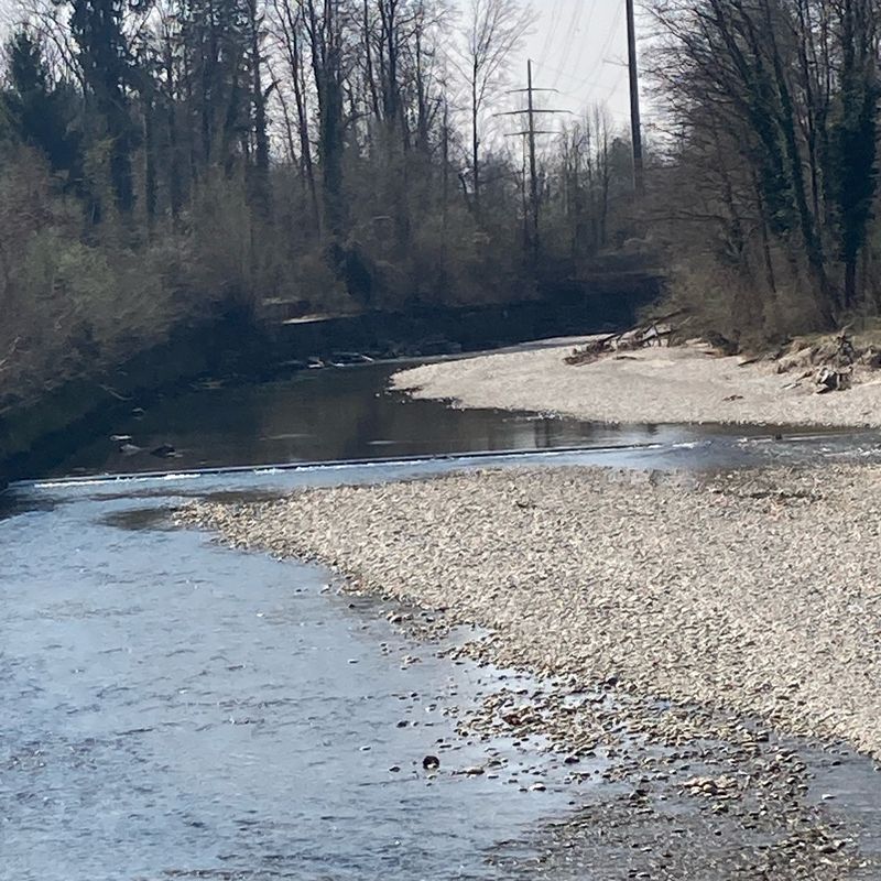 Dahlienweg 7a, Arch nach Dahlienweg 7a, Arch