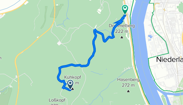 Kühkopf-Königsbacher