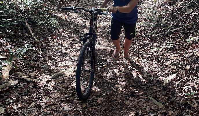 Photo 1 of the Bikemap route "Trilha Morro branco / Via costeira"