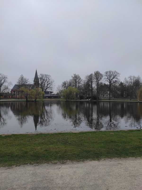Celle-IREENSEE - Celle