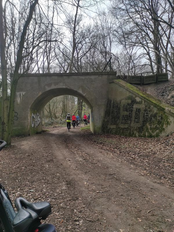 Celle-IREENSEE - Celle
