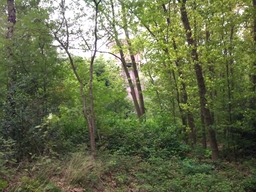 Hebe Bild 6 entlang der Bikemap-Route "Route Nierenhof-Wodantal-Kressenberg" hervor