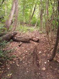Hebe Bild 9 entlang der Bikemap-Route "Route Nierenhof-Wodantal-Kressenberg" hervor