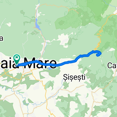 BM Bodi Mogosa BM
