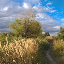 Photo 7 of the Bikemap route "Bucuresti MTB Parcul Vacaresti Yellow 23 km (ADE 233)"