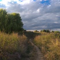 Photo 8 of the Bikemap route "Bucuresti MTB Parcul Vacaresti Yellow 23 km (ADE 233)"