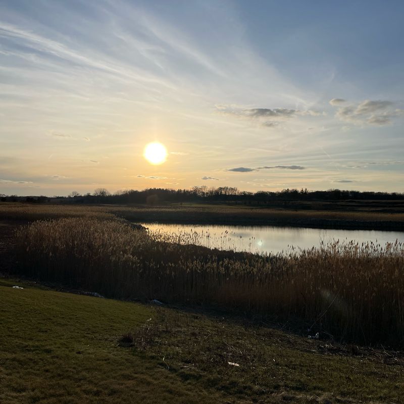 39W514 Bealer Cir, Geneva to 0N648–0N786 King Dr, Geneva