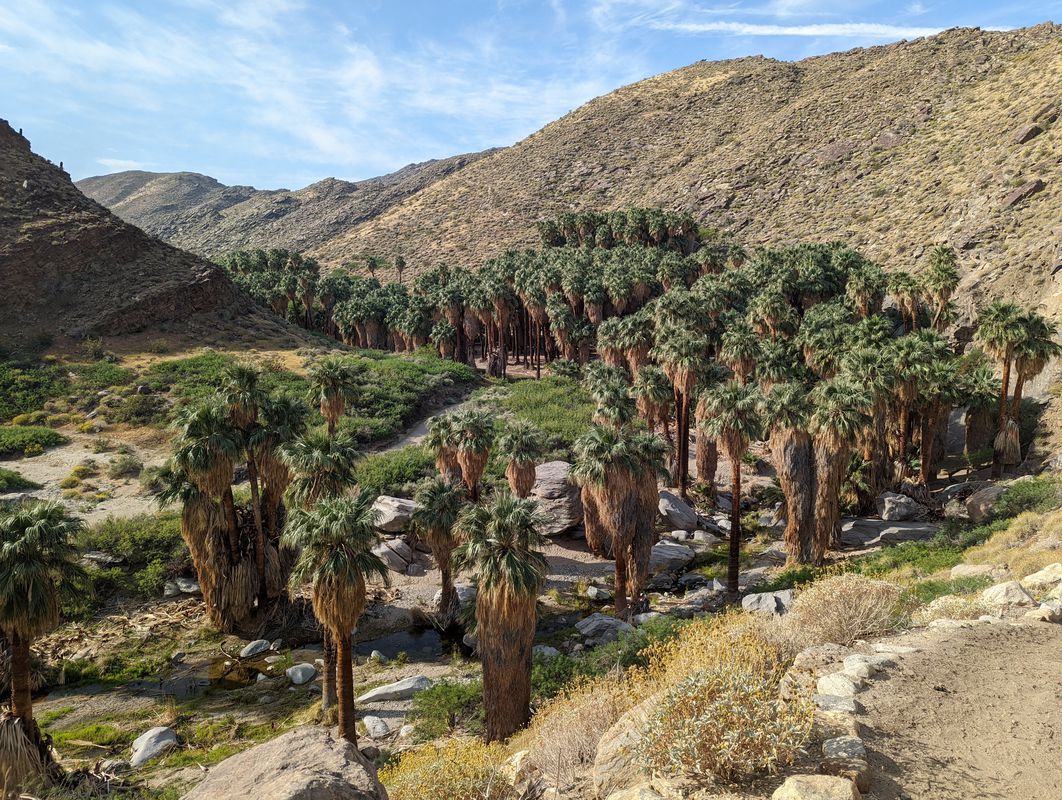 North Museum Drive 230, Palm Springs to East Sunny Dunes Road 600, Palm Springs