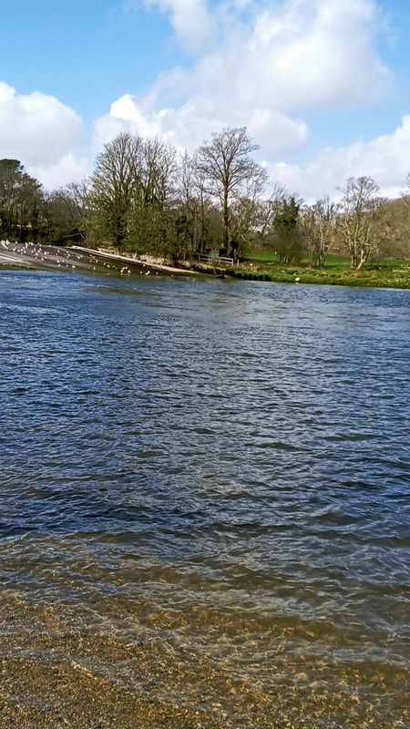 De Totnes a Totnes