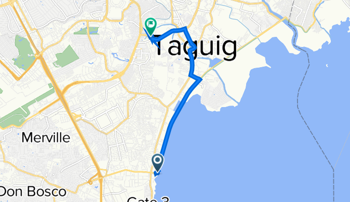 Route to Pedro Cayetano Boulevard, Taguig City
