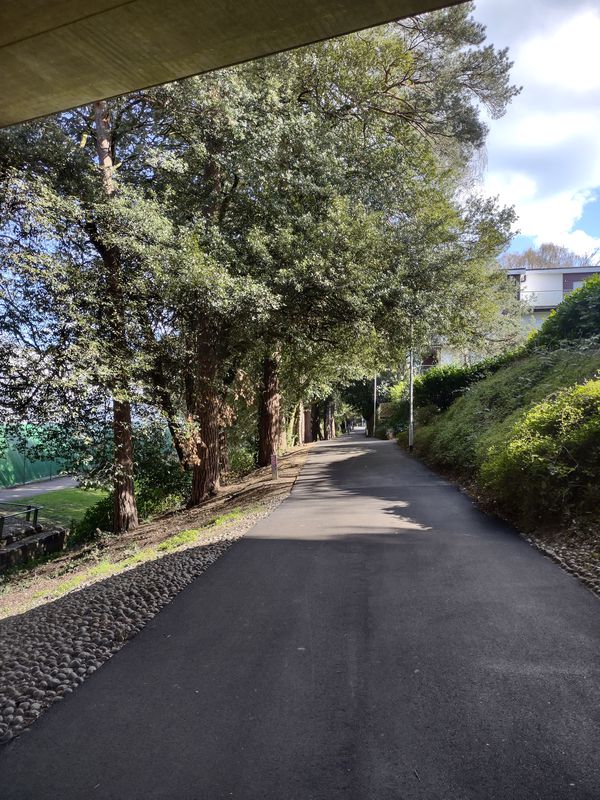 Bourne Valley Greenway. My way