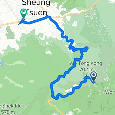 Tai Mo Shan Road, Tai Mo Shan to Nam Hing West Road, Shek Kong