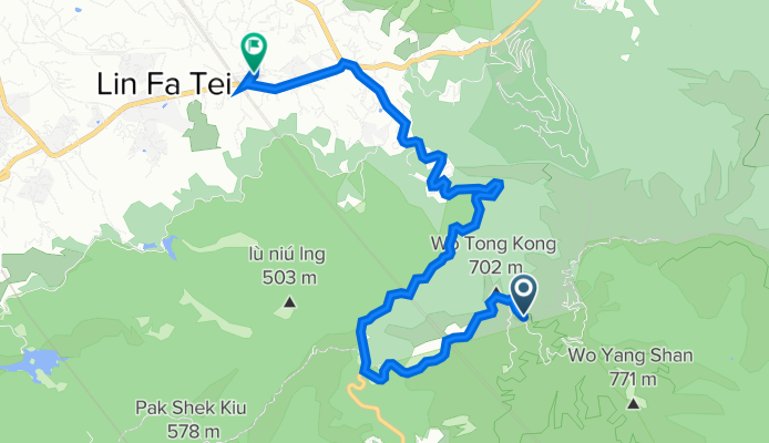 Tai Mo Shan Road, Tai Mo Shan to Nam Hing West Road, Shek Kong