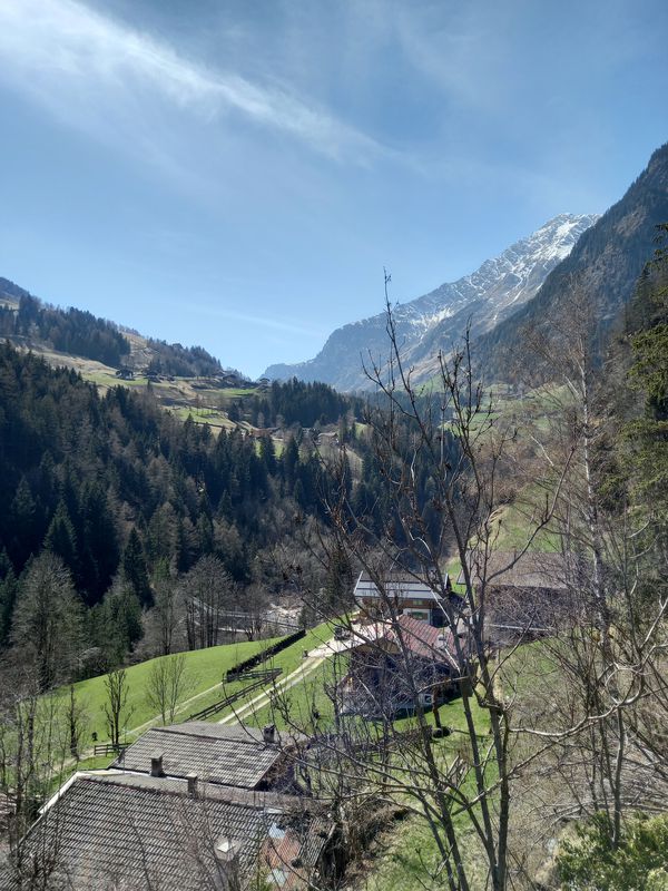 Strada Principale 25A, San Leonardo in Passiria to Via delle Piante 36, Merano