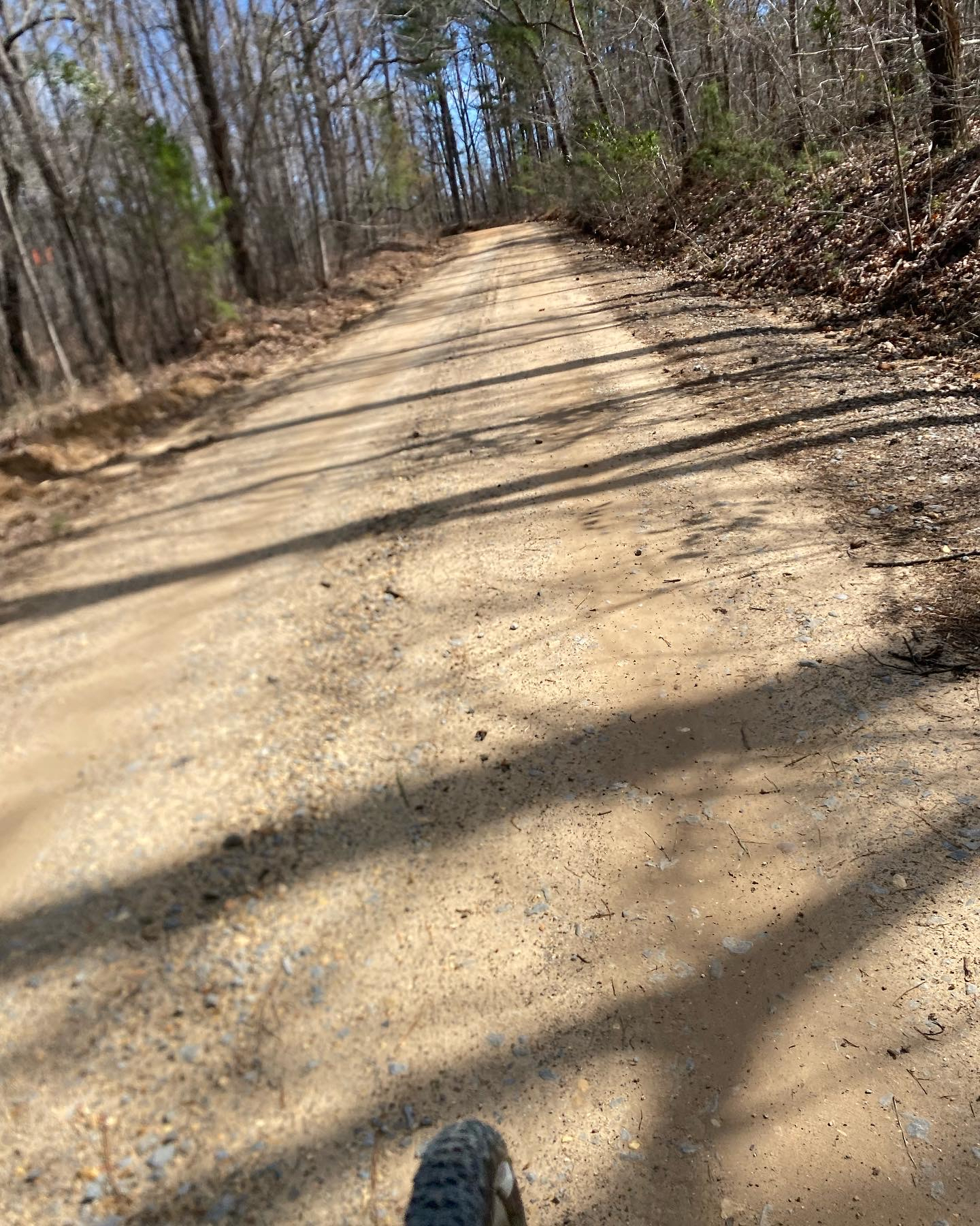 Bankhead National Forest, CR 3066 &amp; 3065