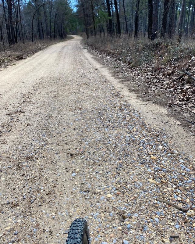 Bankhead National Forest, CR 3066 &amp; 3065