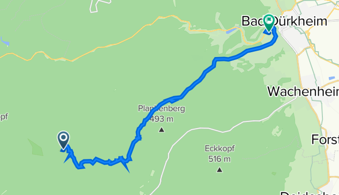Route nach Kaiserslauterer Straße 25–35, Bad Dürkheim
