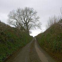 Caminhada lenta 🙏😎