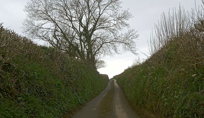 Photo 1 de l’itinéraire Bikemap « Caminhada lenta 🙏😎 »