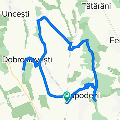 Biserici Monument - Zapodeni