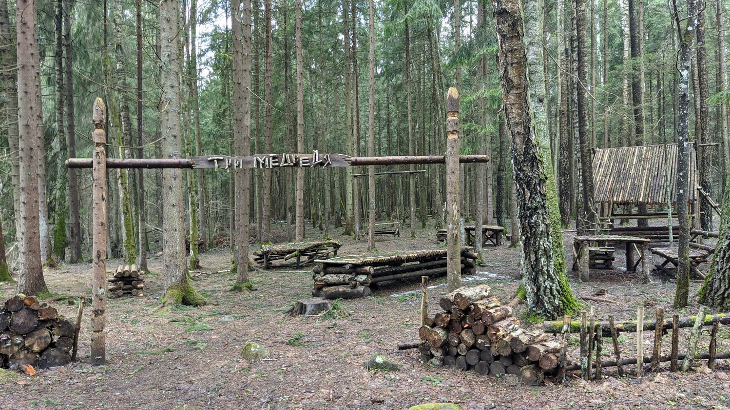 лысая гара