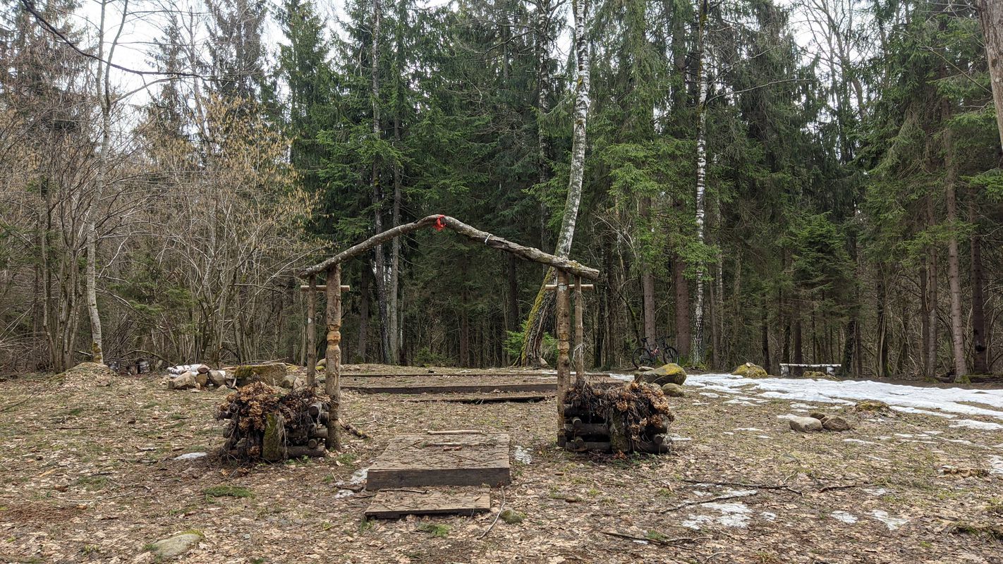 лысая гара