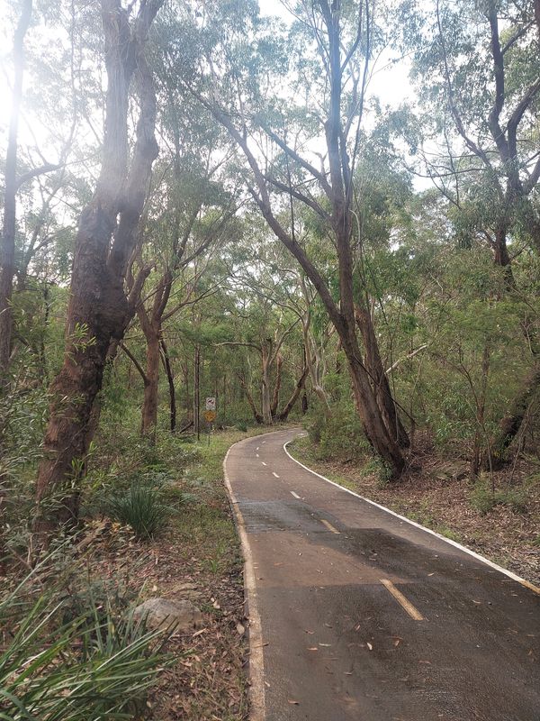 Beecroft to Macquarie Park, missing section to Marsfield for some reason.