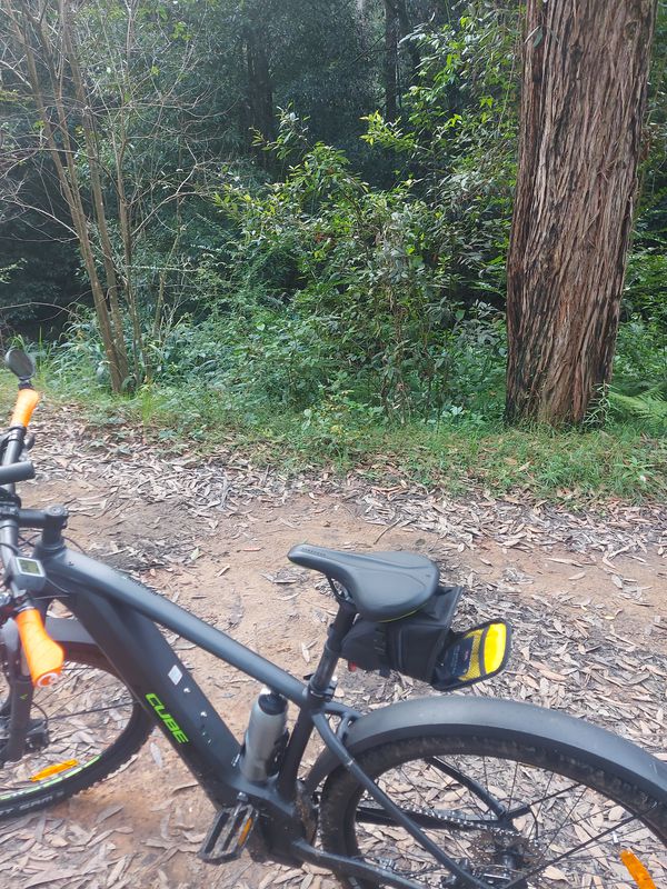 Beecroft to Macquarie Park, missing section to Marsfield for some reason.