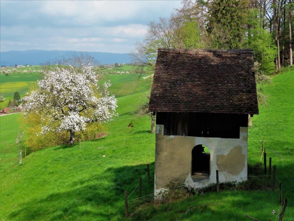 Kaiseraugst Arisdorf Wintersingen Rheinfelden