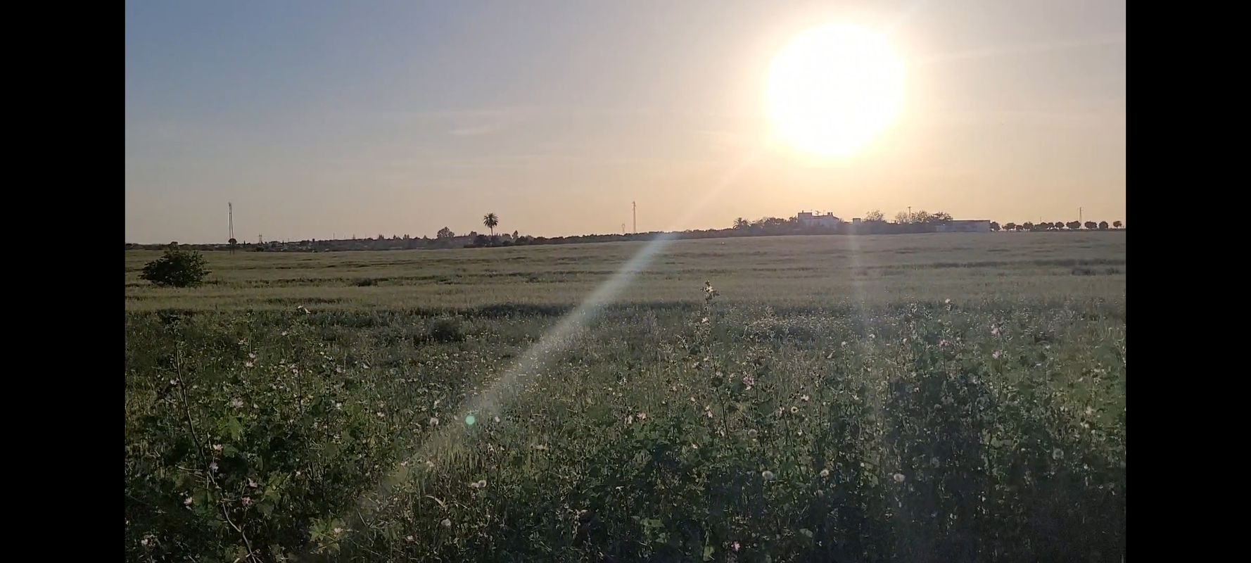 De Calle Pablo Sorozábal 8, Palomares del Río a Calle Hermanos Machado 14, Palomares del Río