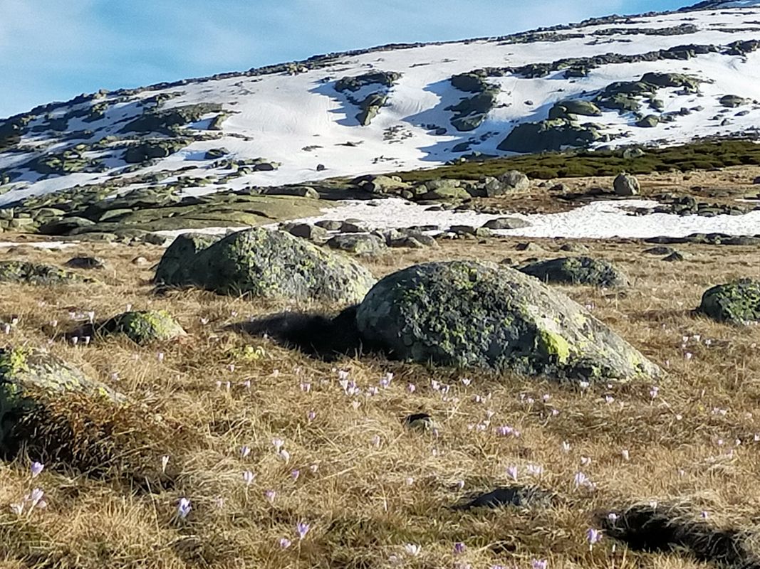 Montaña Gredos