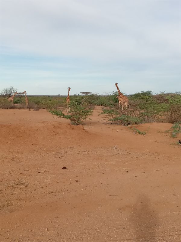 Provincial HQ, Garissa to Provincial HQ, Garissa