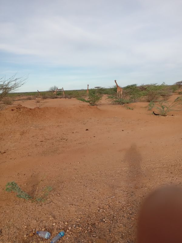 Provincial HQ, Garissa to Provincial HQ, Garissa
