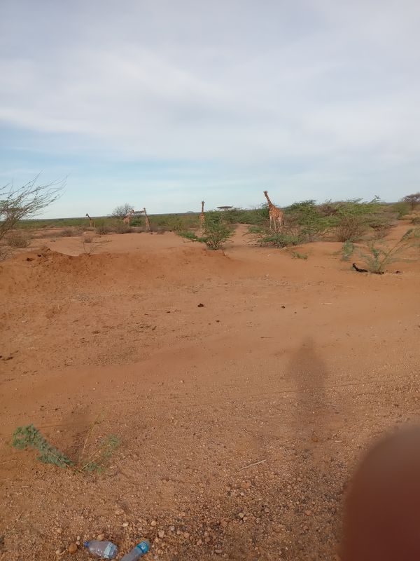 Provincial HQ, Garissa to Provincial HQ, Garissa