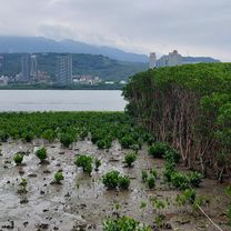 Wenhua 2nd Road Section 1 553, Linkou District to Section 4, New Taipei Boulevard 188, Xinzhuang District