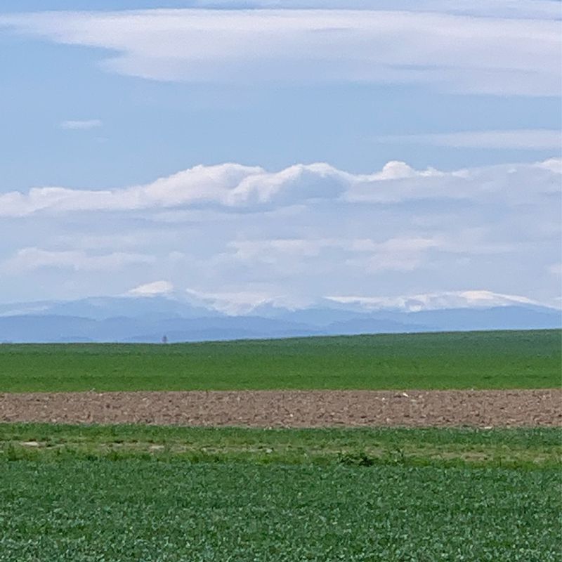 Dzikowa 3, Mietków do Szczęśliwa 29, Wrocław