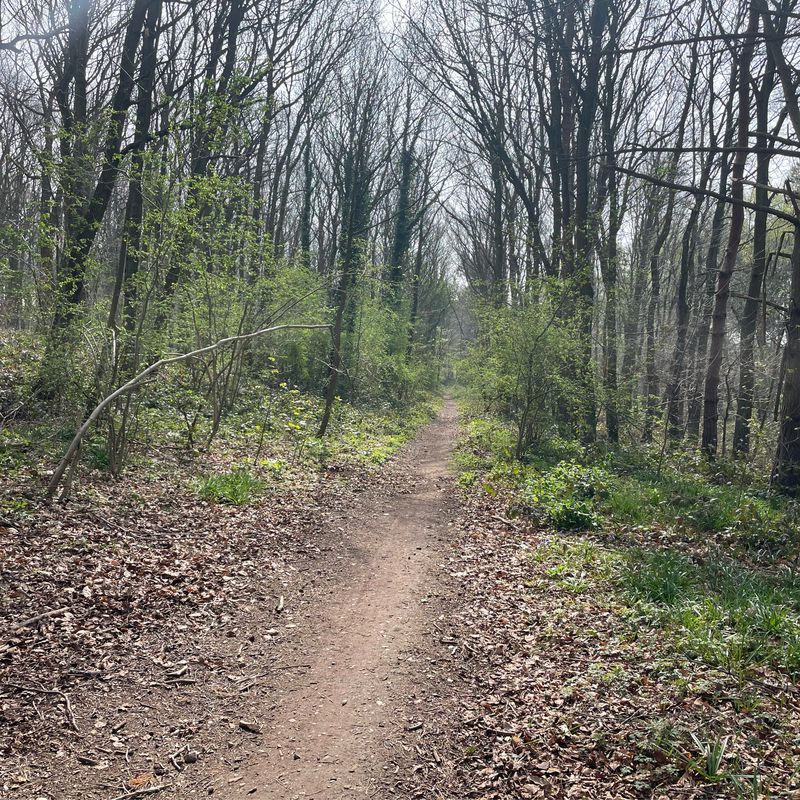 New Road, Bassetlaw to 22 Ocean Dr, Mansfield