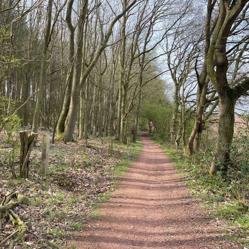 New Road, Bassetlaw to 22 Ocean Dr, Mansfield