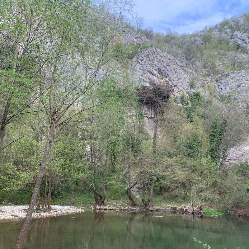 45.201° N 21.870° W to 45.206° N 21.878° W Cheile Carașului începutul