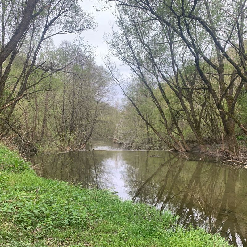 45.201° N 21.870° W to 45.206° N 21.878° W Cheile Carașului începutul