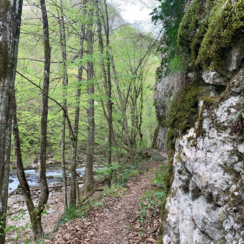 45.206° N 21.878° W to 45.218° N 21.886° WCheile Carașului continuare
