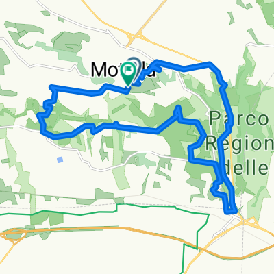 Mottola