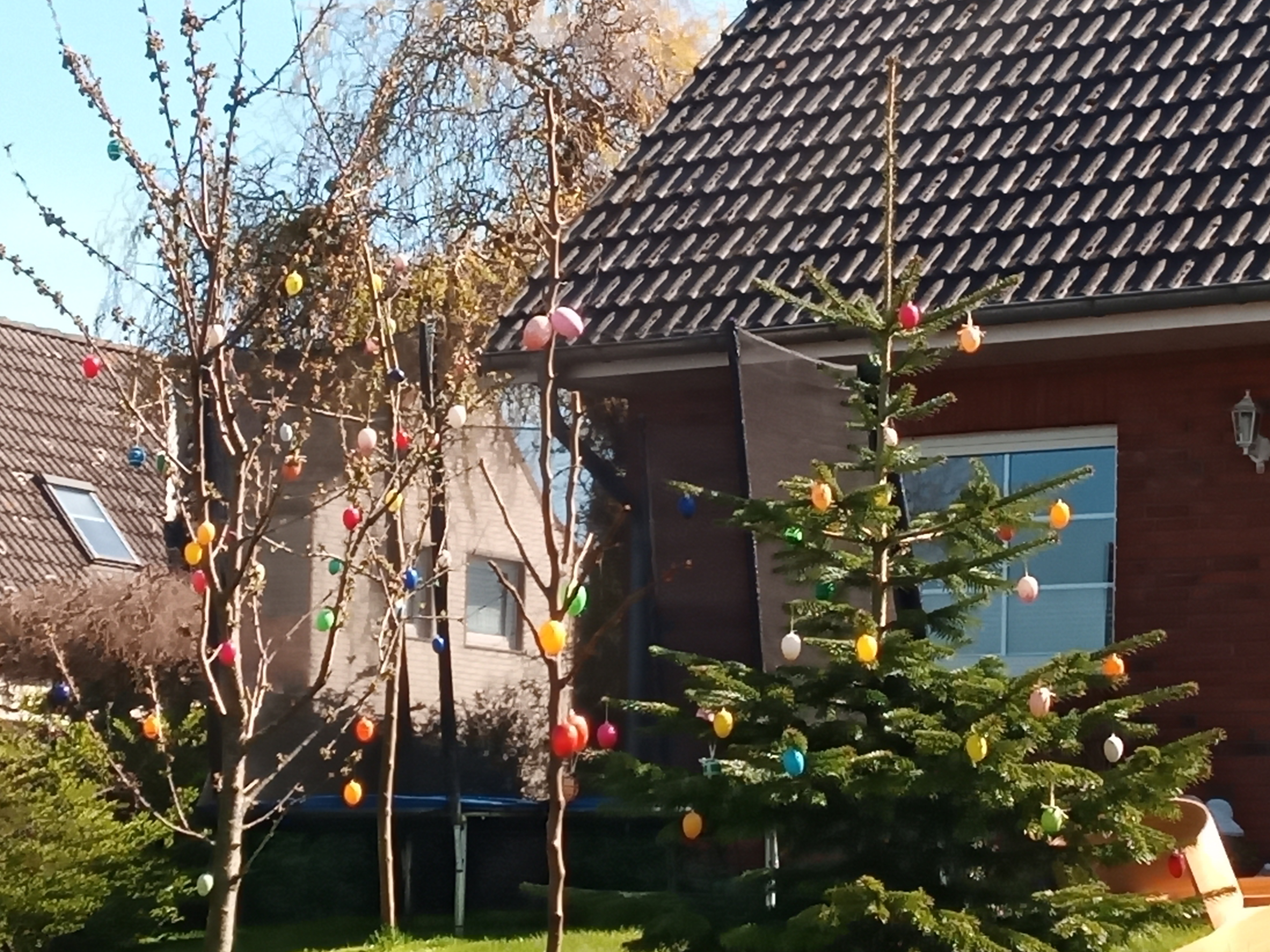 Relaxed route in Schönhagen