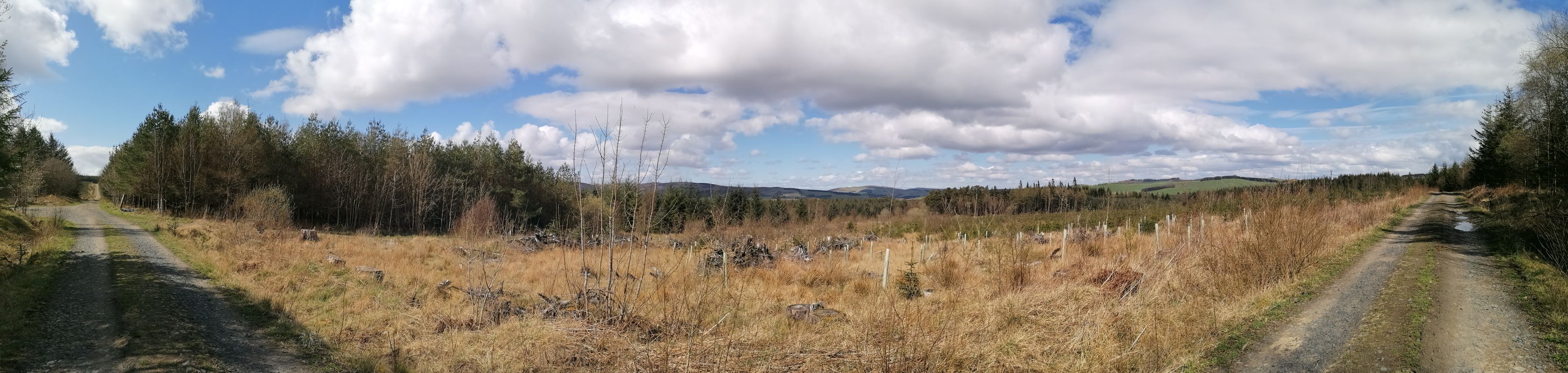 Greenhill Farm to Greenhill Farm